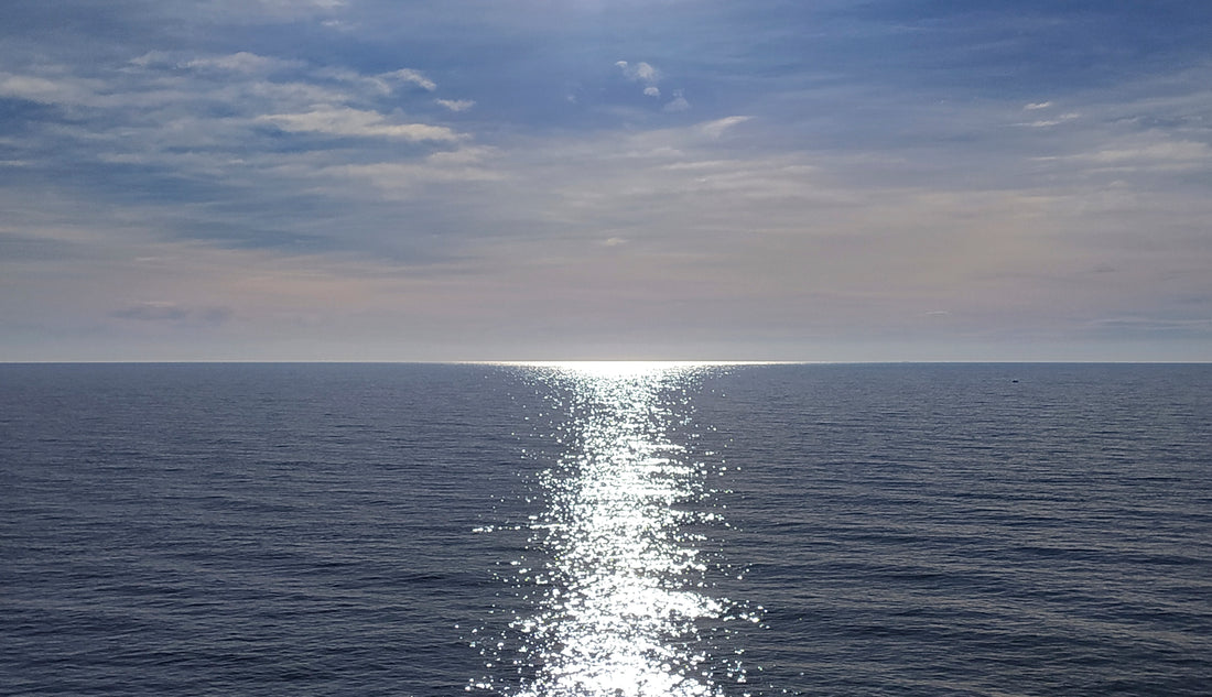 Esplorando il Mar Mediterraneo: Tesori, Sfide e Soluzioni