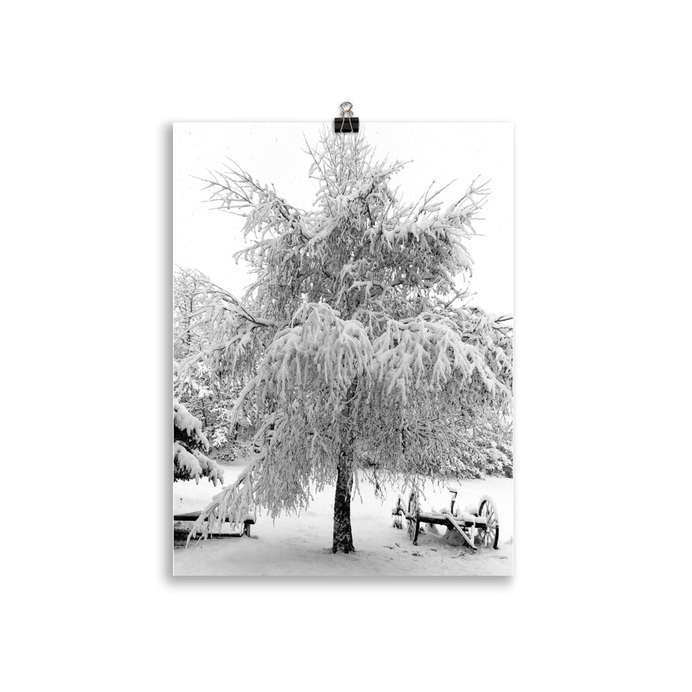 Poster, Schneebaum