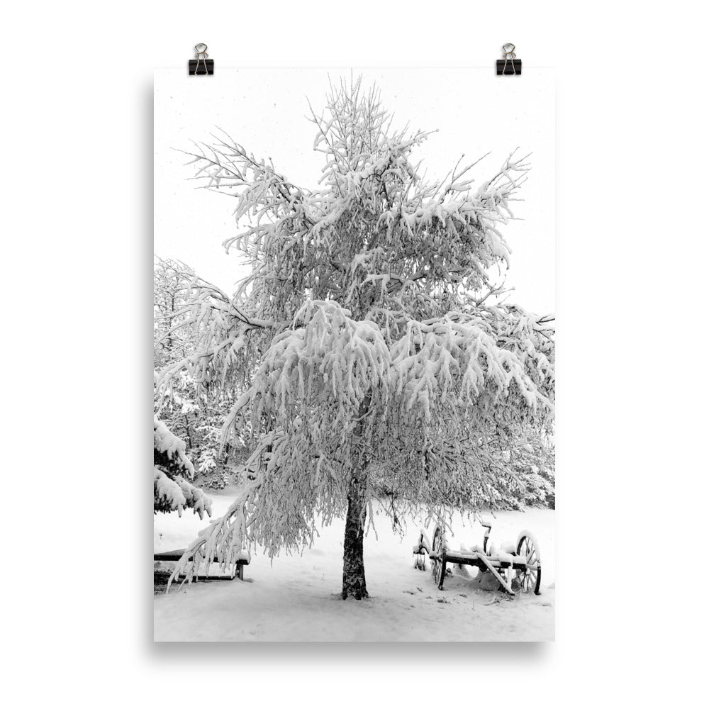 Poster, Schneebaum