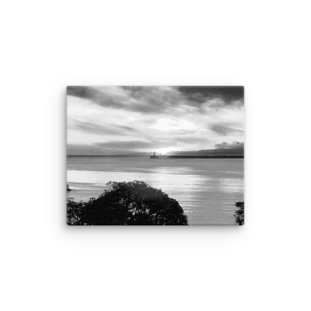 Thin canvas, Seaview Landscape B/w