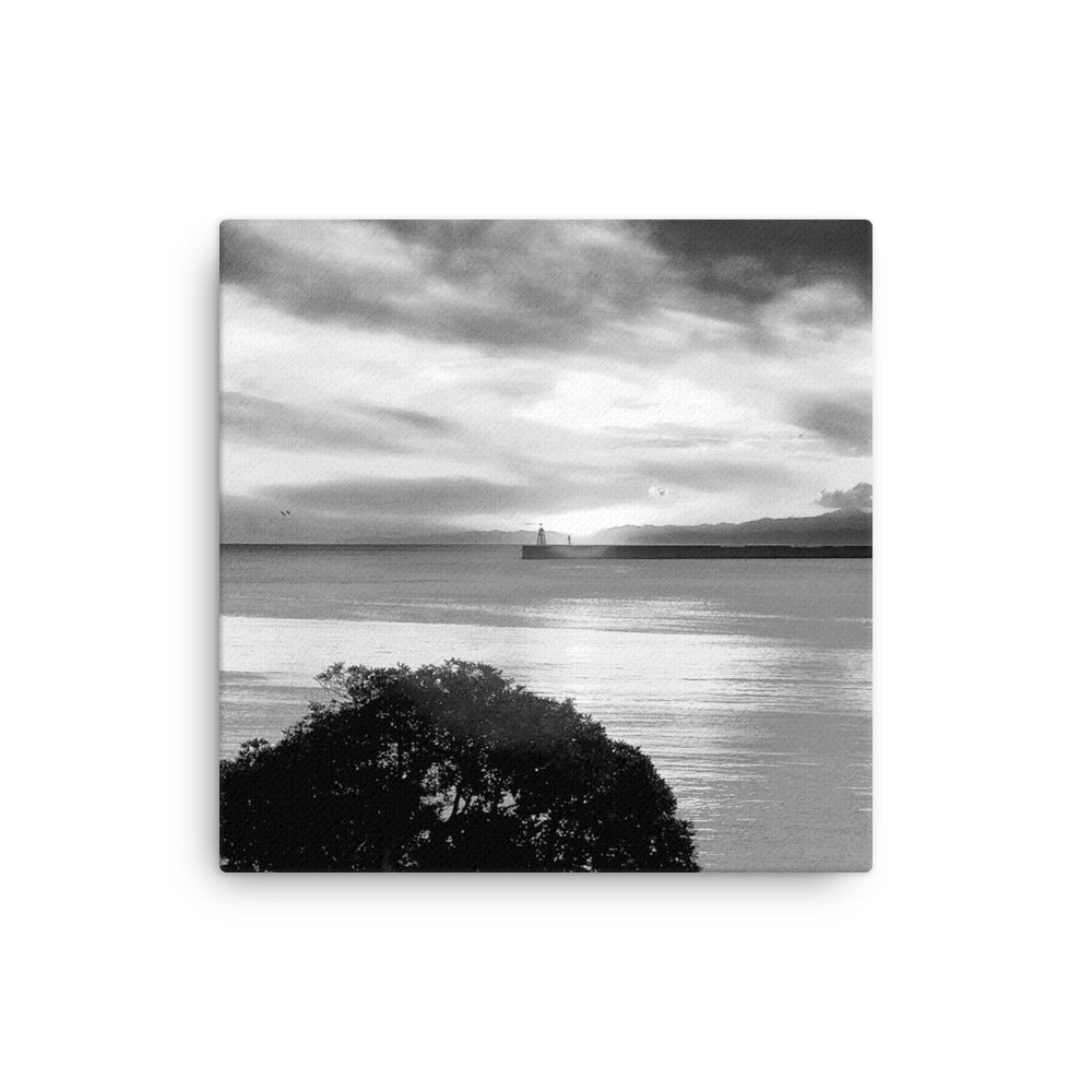 Thin canvas, Seaview Landscape B/w