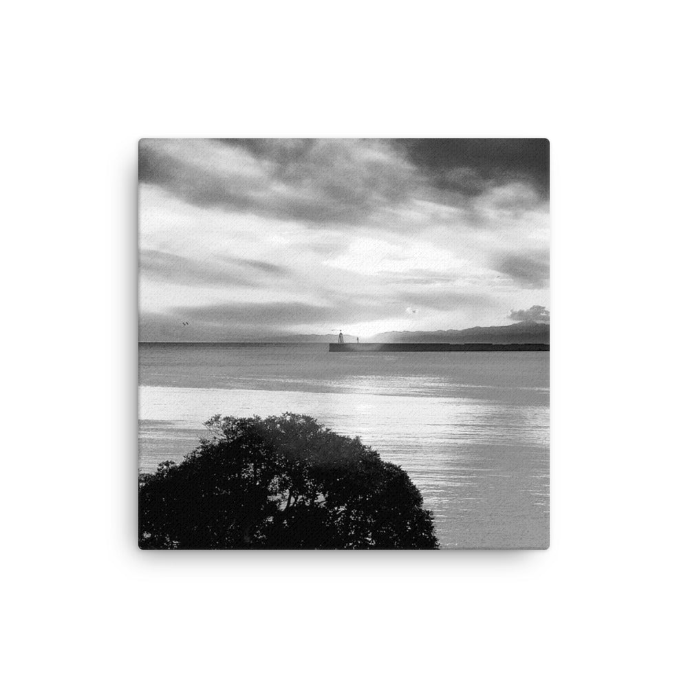 Thin canvas, Seaview Landscape B/w