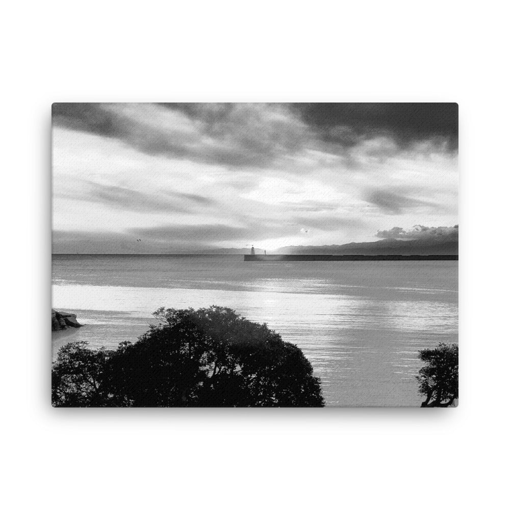 Thin canvas, Seaview Landscape B/w