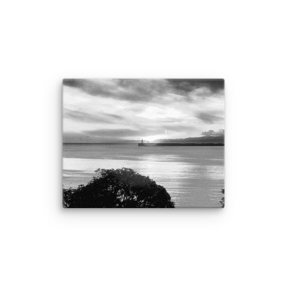 Thin canvas, Seaview Landscape B/w