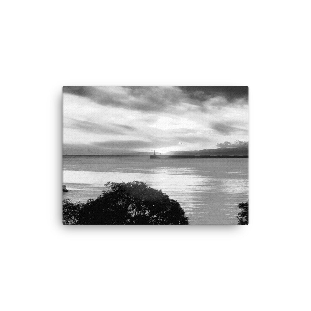 Thin canvas, Seaview Landscape B/w